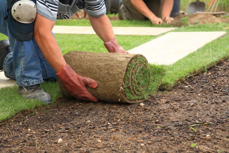 Sod Landscaping