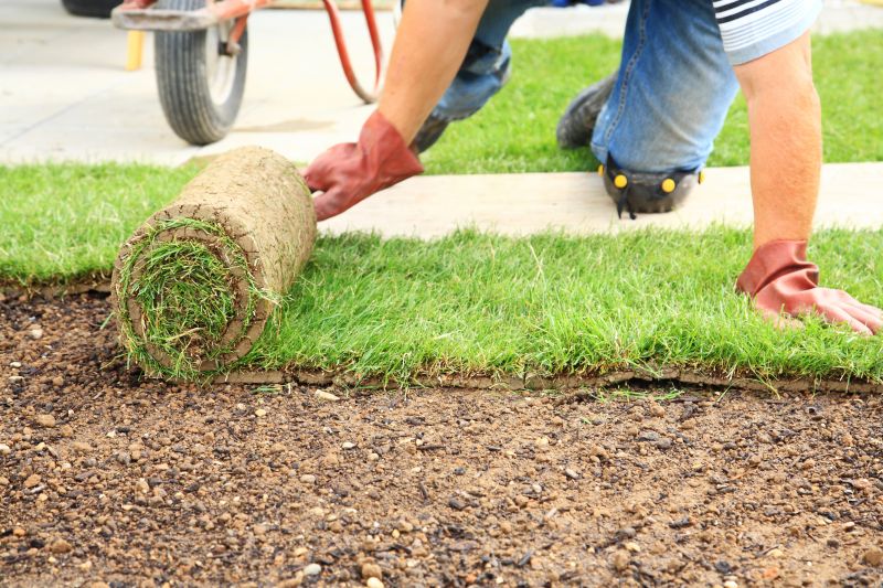 Sod Installation detail