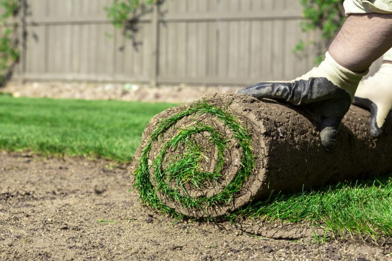 Why Sod Installation Is The Fastest Way To A Green Lawn